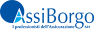 I professionisti dell'assicurazione - Assiborgo s.a.s.